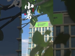 ผู้จําหน่ายเตาอบซินเตอร์ระยะว่างจากจีน